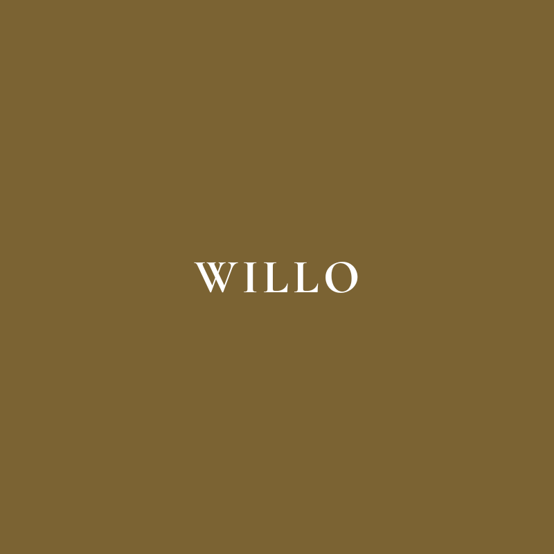 WILLO - Pantalon Cargo Droit en Laine Déperlante